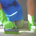 Young Woman Cleans Carpet in the Room